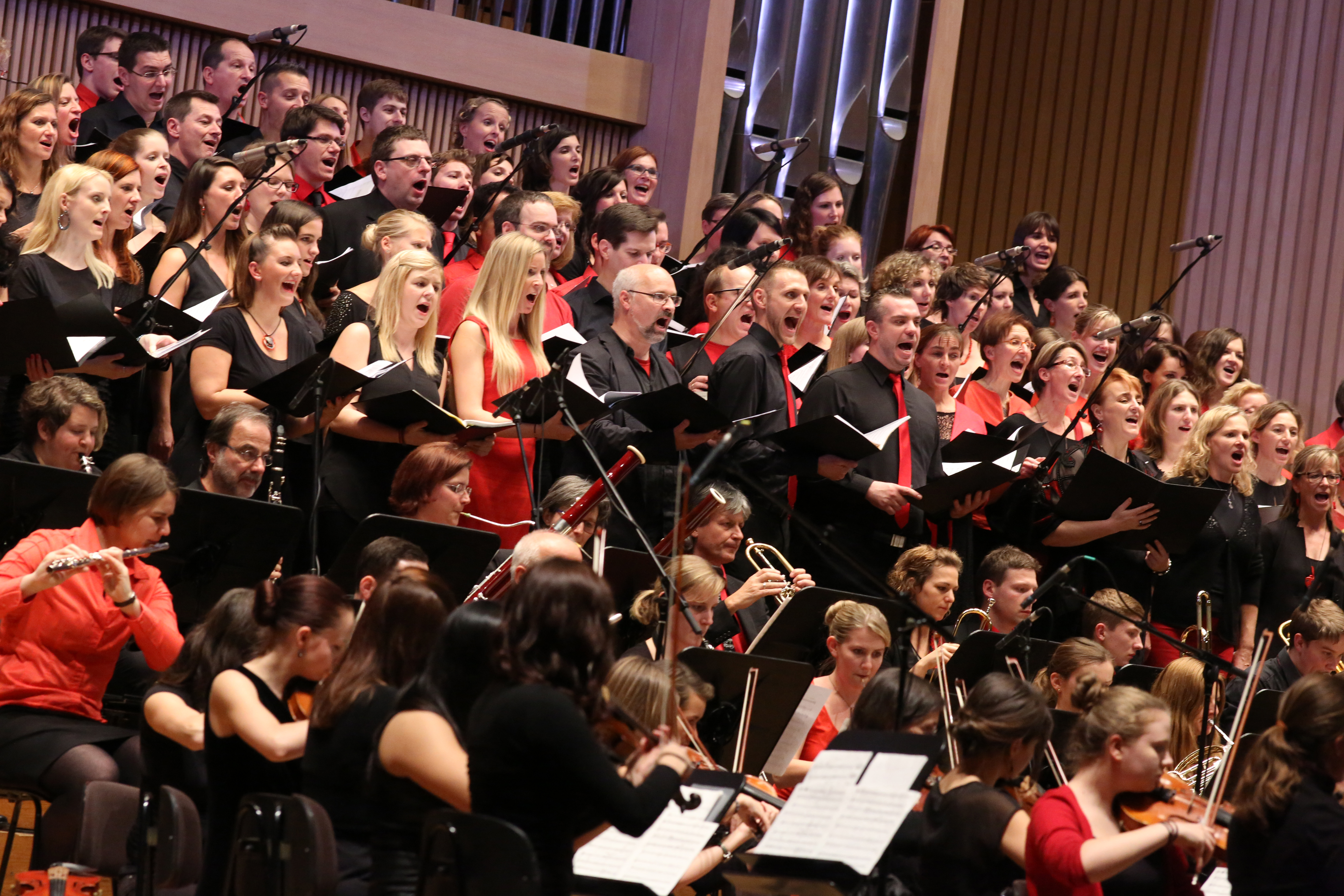 Musikschule goes Brucknerhaus