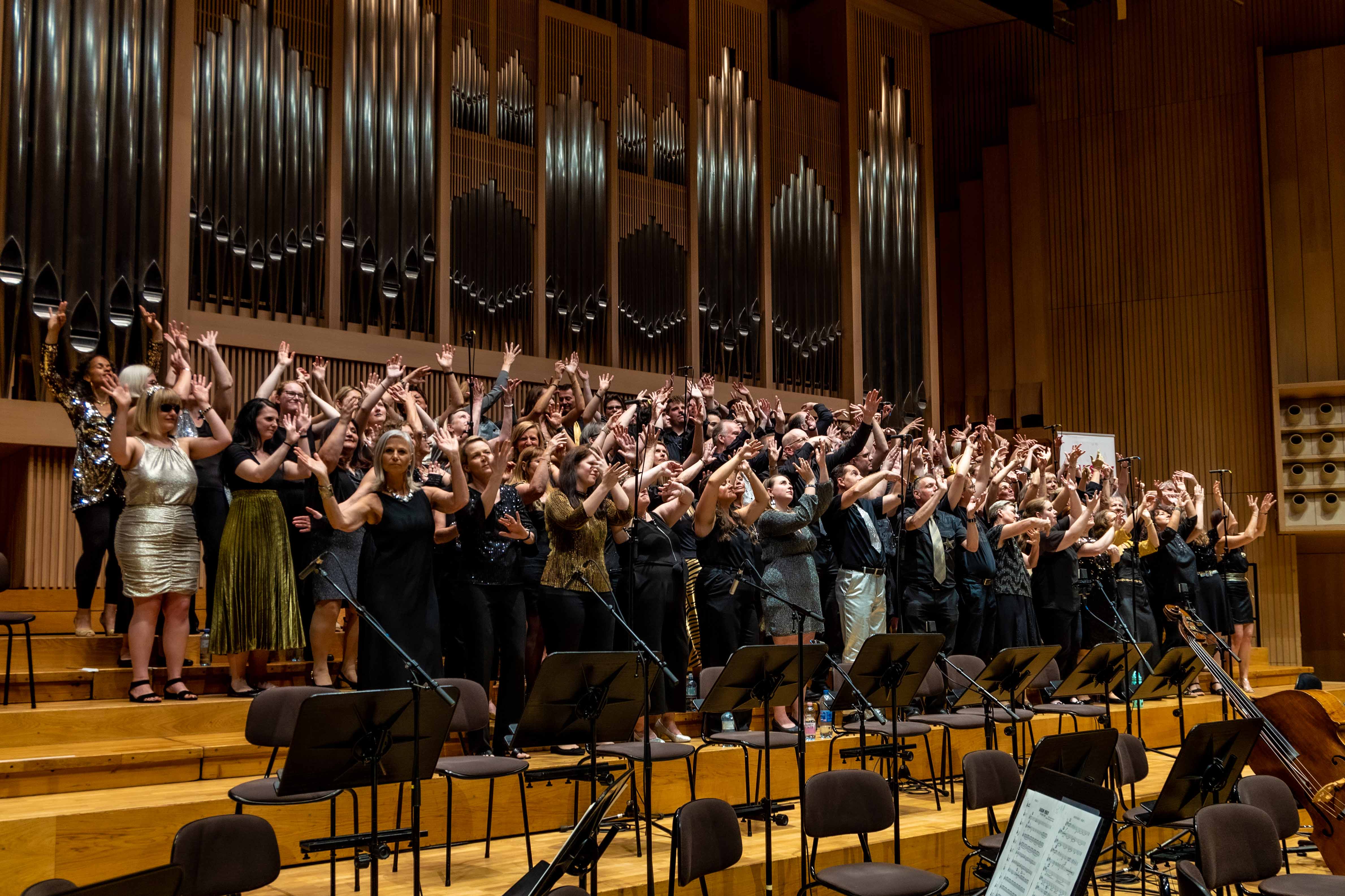 20 Jahre United Voices